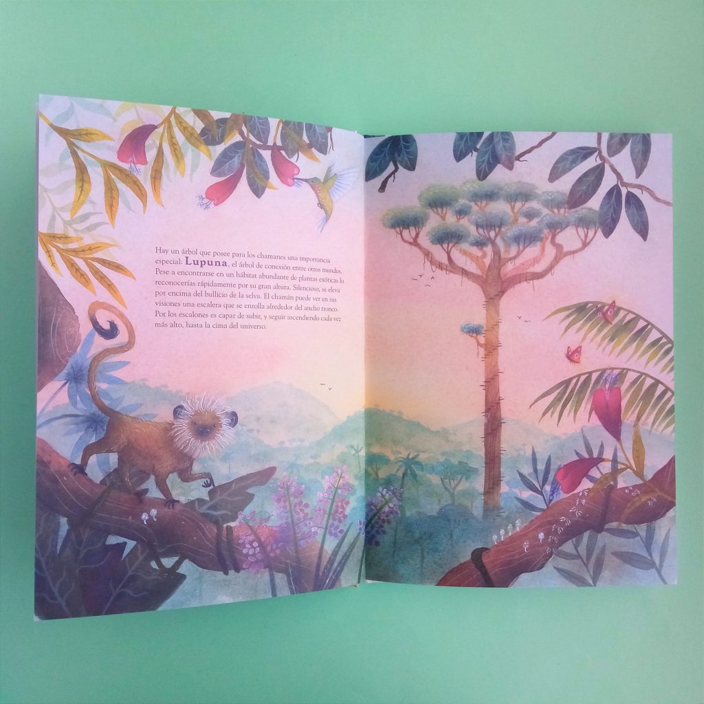 Criaturas del bosque de todo el mundo