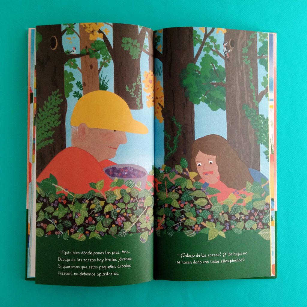 La edad del bosque cuento